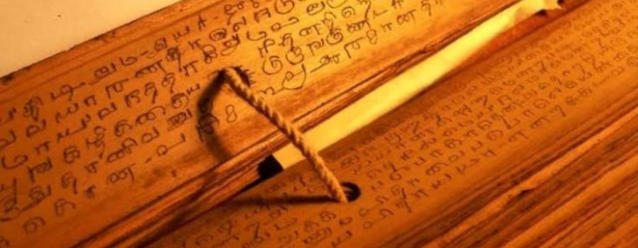 Career Guidance Naadi Astrology